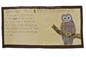 Spotted Owl by Elizabeth W, Madeline A, Kathy G, and Stephanie T, Ms Rabina's 6th grade class, Thomas Starr King Middle School, 2013.