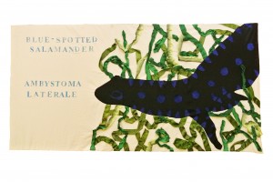 Blue Spotted Salamander by Asiful A, Charles, and Daniel, Ms Rabina's 6th grade class, 2013. Fabric and ribbon applique, with rubber stamps.