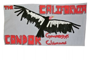 California Condor by Taiyo, Connor F, Anthony U, and Alex H. Ms Harada's 6th grade class, 2013. Felt on fabric with fabric paint.