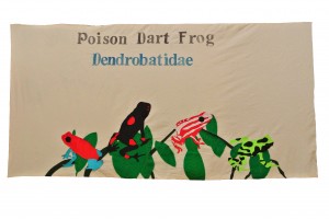 Poison Dart Frogs by Ari M, Armand P, John R, and Natalie C, Ms Rabina's 6th grade class, Thomas Starr King Middle School, 2013. 